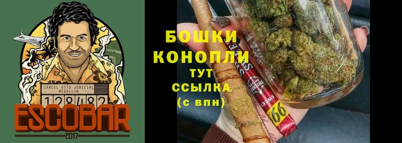 Шишки марихуана Amnesia  сколько стоит  Рузаевка 